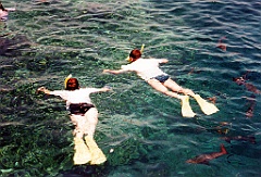 2000 - Australie 282T